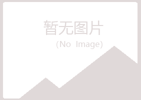 延长县盼夏能源有限公司